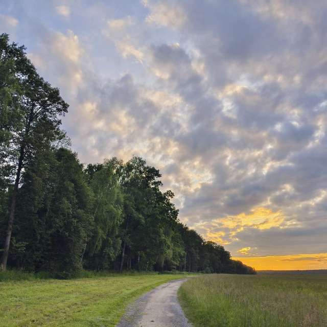世界的天气照片. 天气预报，带Aleksei精美的照片