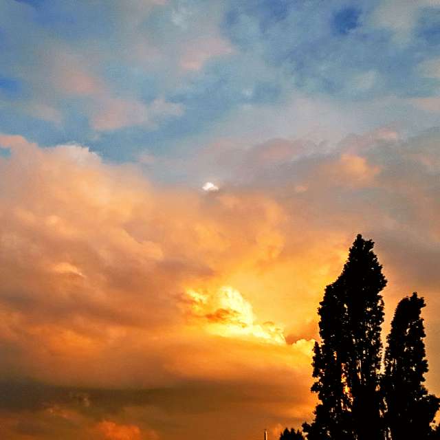 Background. Weather forecasts with beautiful photos by Wiesiek Photos in Gdansk