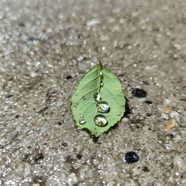 Previsões do tempo com lindas fotos de BIKOTRAVEL