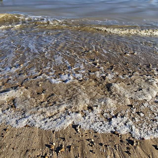 Previsões do tempo com lindas fotos de Lolli