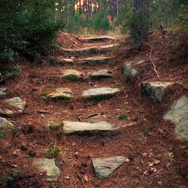 Almaの美しい写真による天気予報