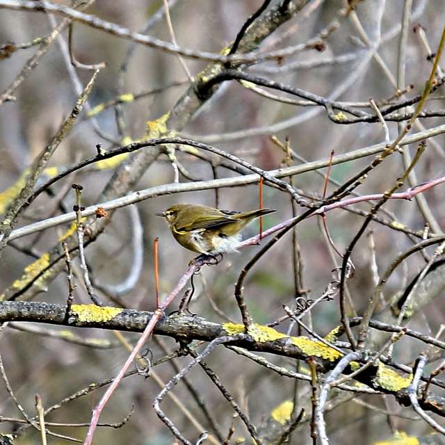 Weather forecasts with beautiful photos by tony5636