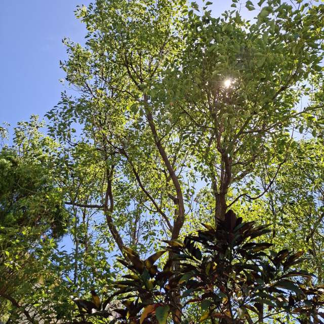 Fotos Rua. Previsões do tempo com lindas fotos de Wen-ya Huang em Kaohsiung City