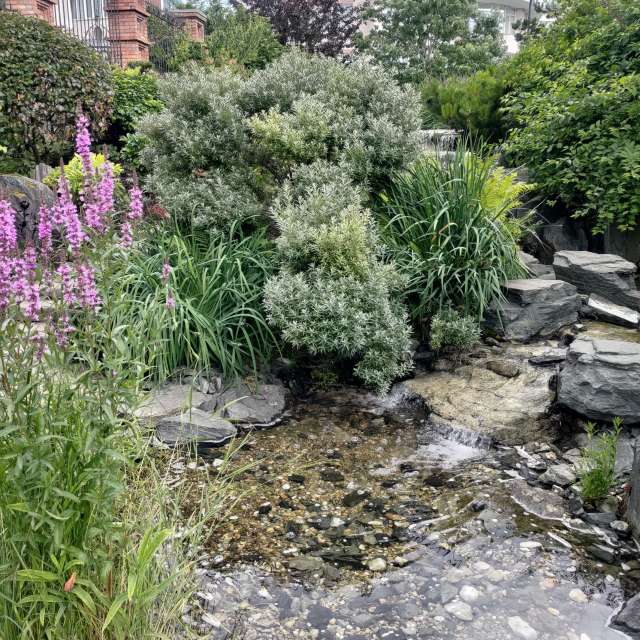 天气预报，带Lara357精美的照片