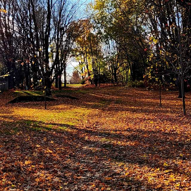 Weather. Wettervorhersagen mit schönen Fotos von KevinG Fotos Kanata Avenue