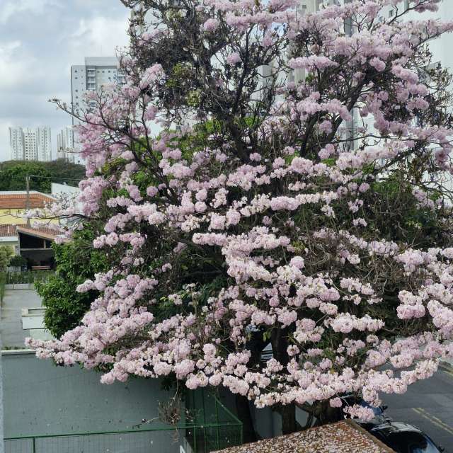 Weather forecasts with beautiful photos by Taty Franzolin