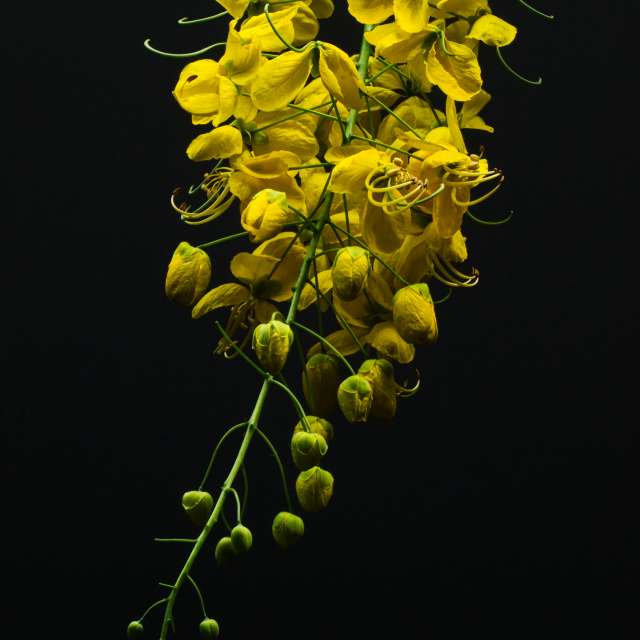 Previsões do tempo com lindas fotos de Vimal_Ram_S