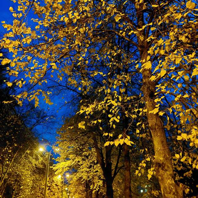 Dusk. Weather forecasts with beautiful photos by Iryna Photos in Kharkiv