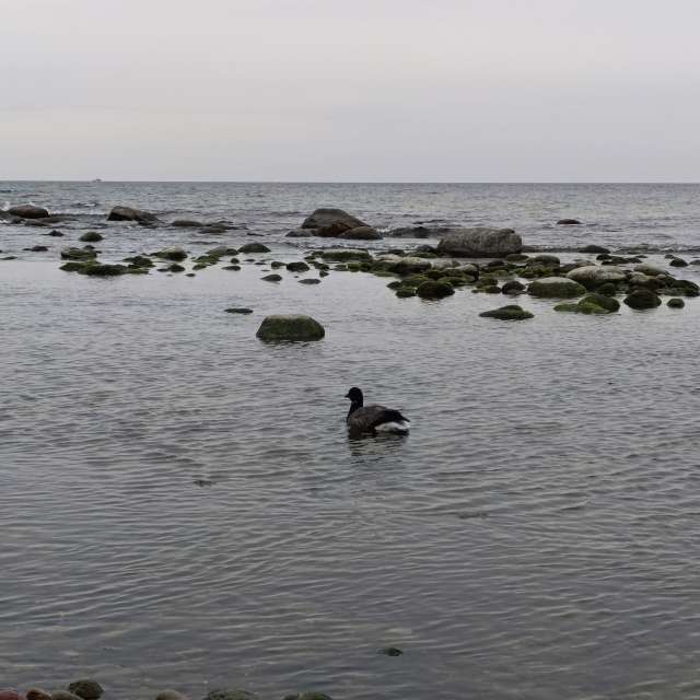 Gorod Svetlogorsk的Weather. 天气预报，带Михаил Бондаренко精美的照片照片