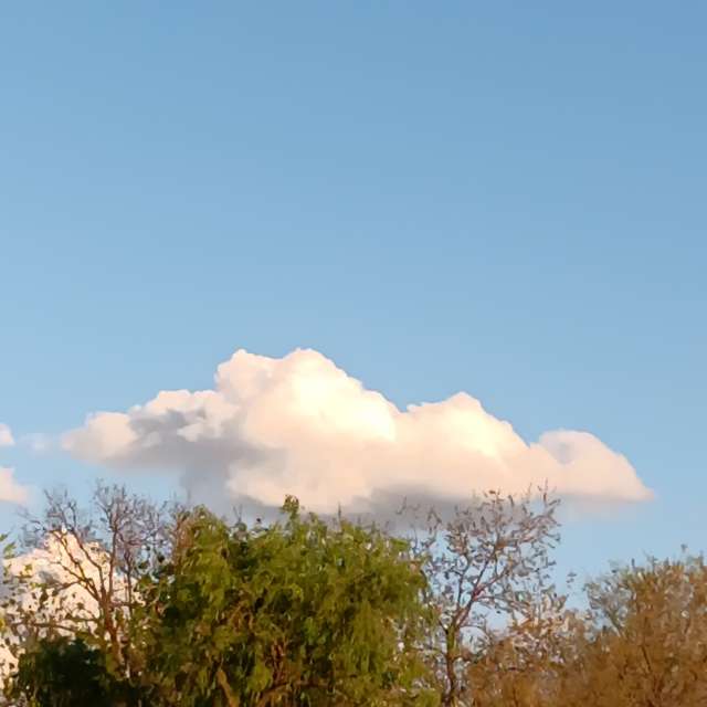 Fotos del Herboso. Pronósticos del tiempo con hermosas fotos de YanBog en București