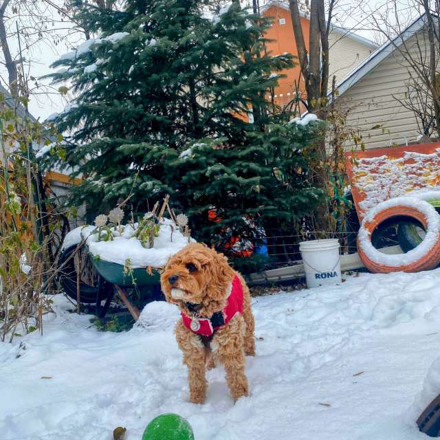 Прогнозы погоды с чудесными фотографиями, сделанными Lulu5523