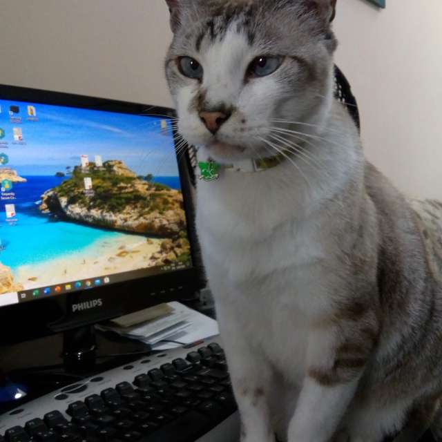 Pronósticos del tiempo con hermosas fotos de Bruy