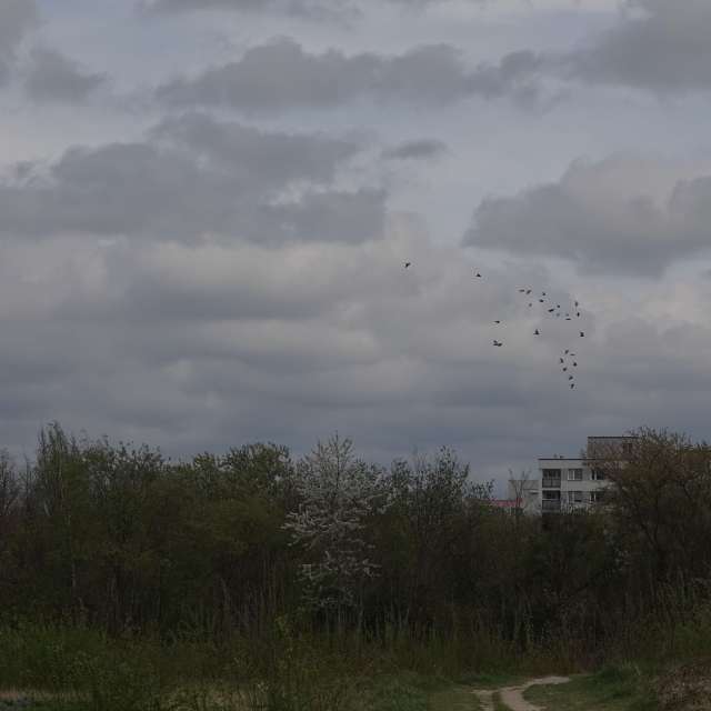 Fotos Cidade. Previsões do tempo com lindas fotos de Vasek325 em Praha 4