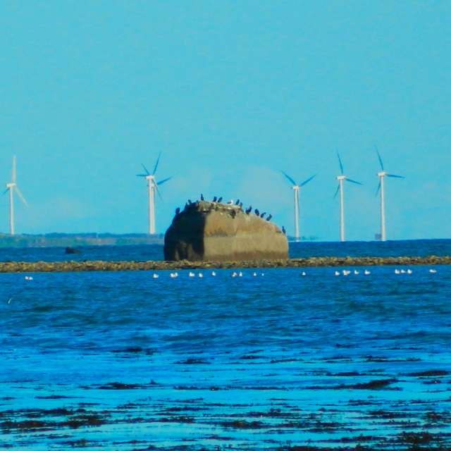 Previsões do tempo com lindas fotos de DarekCho