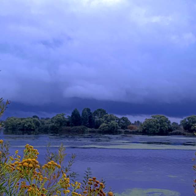 Lena_Glukhovaの美しい写真による天気予報
