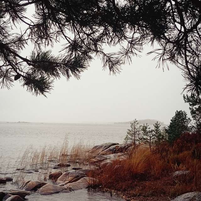 天气预报，带19Jeanette71精美的照片