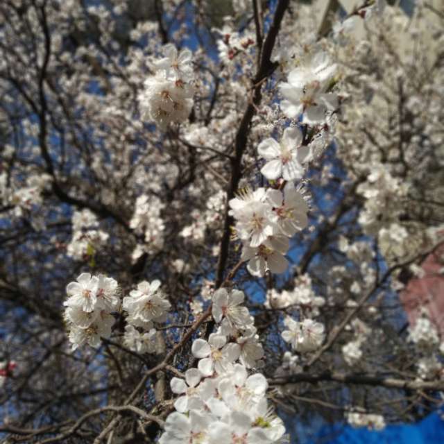 Fotos Clima. Previsões do tempo com lindas fotos de Talgat Rakhimzhanov em Almaty