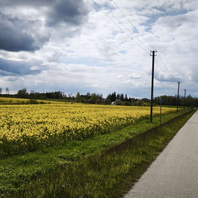 Hintergrund. Wettervorhersagen mit schönen Fotos von Valiukas Fotos Litauen