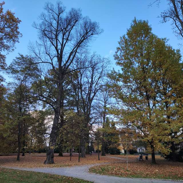 Previsões do tempo com lindas fotos de drollted