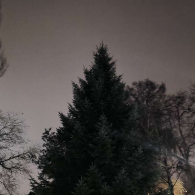 Fotos del Cruz. Pronósticos del tiempo con hermosas fotos de YanBog en București