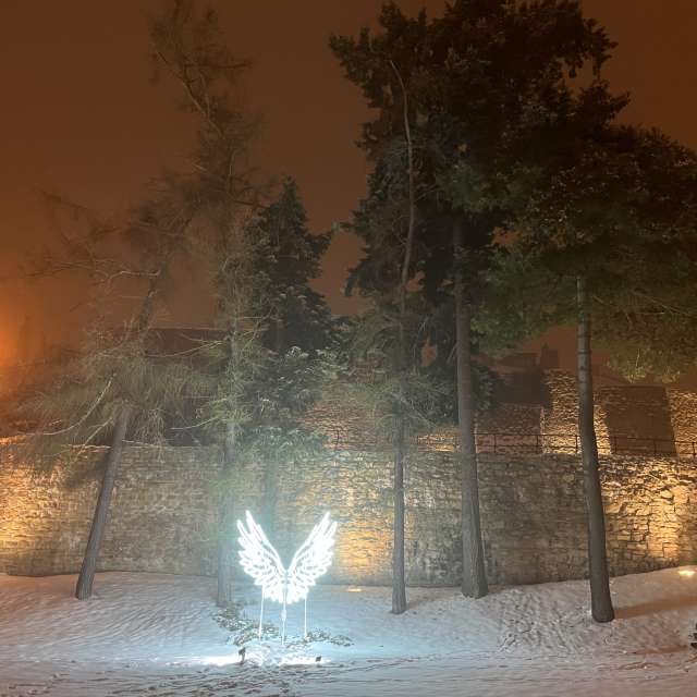 Jan95の美しい写真による天気予報