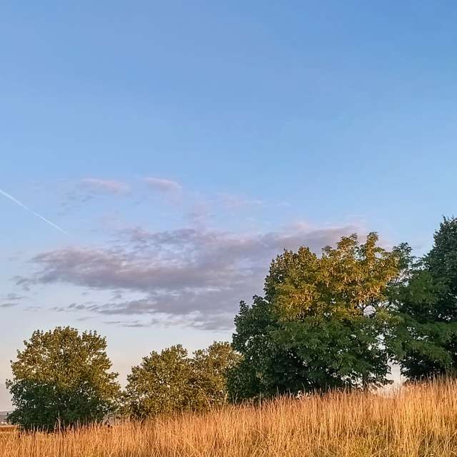 Weather forecasts with beautiful photos by Kripo