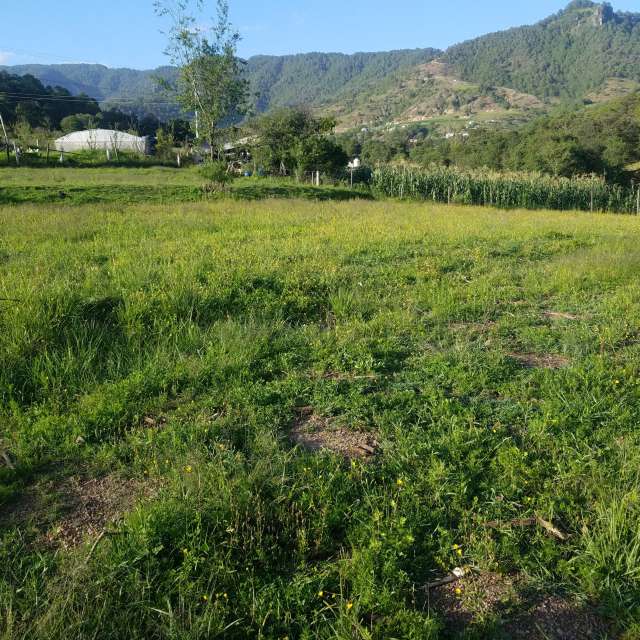 Weather forecasts with beautiful photos by Maggie Cabrer