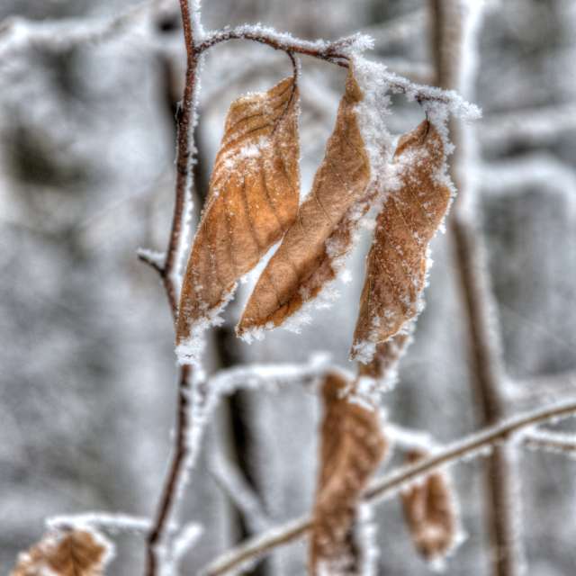 Pronósticos del tiempo con hermosas fotos de Paul57