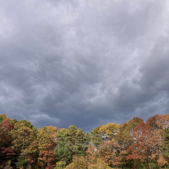 Pronósticos del tiempo con hermosas fotos de prairiesands