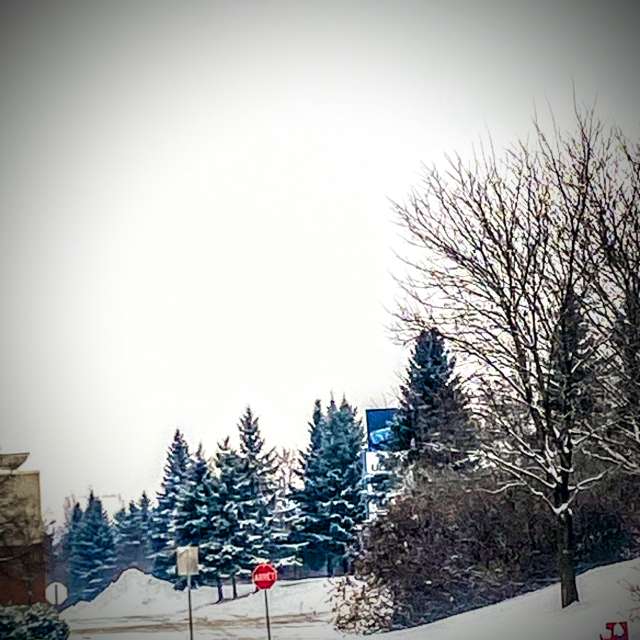 Jumping. Weather forecasts with beautiful photos by Lulu5523 Photos in le Plateau