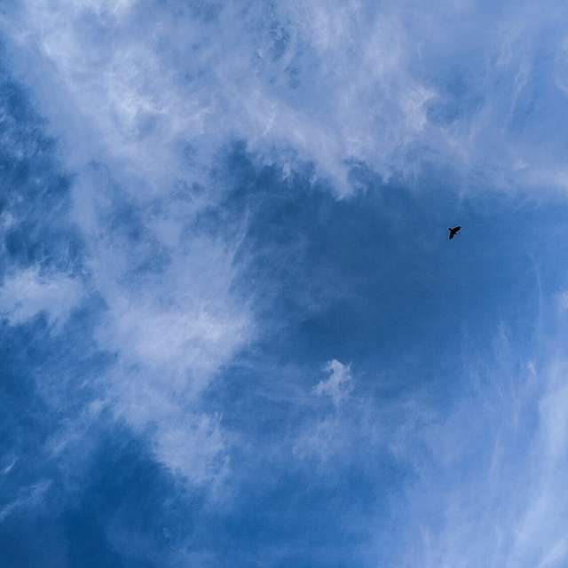 世界的天气照片. 天气预报，带aastrelkova精美的照片