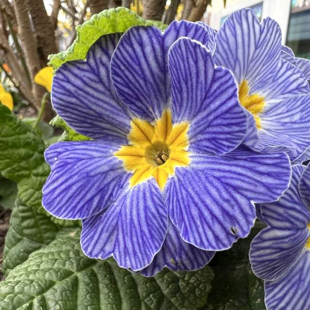 Photos météo à Monde. Prévisions météo avec de superbes photos de SwissEloi