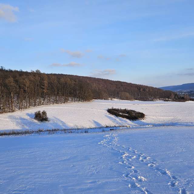 Cold. Weather forecasts with beautiful photos by PythonOfSoul Photos in World