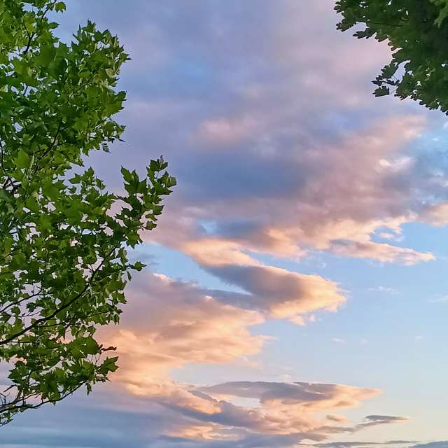 Weather forecasts with beautiful photos by Kripo