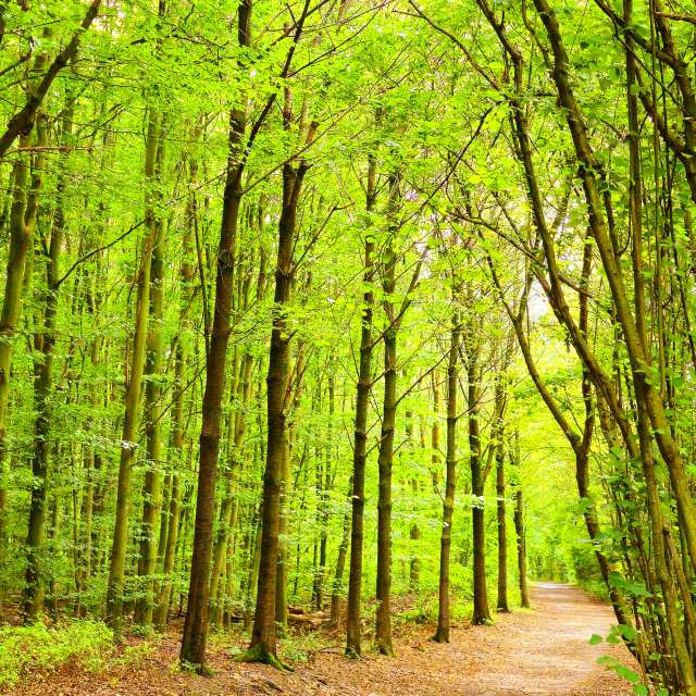 世界の天気写真. Seniの美しい写真による天気予報