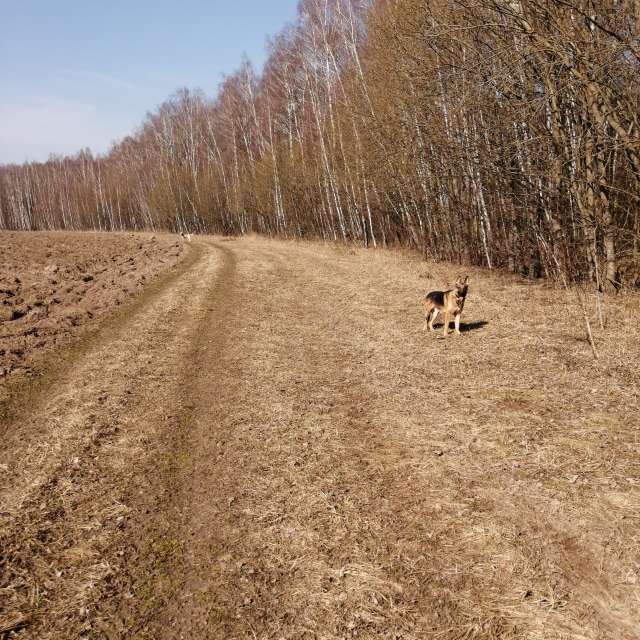 天气预报，带vilinsckayaolga精美的照片