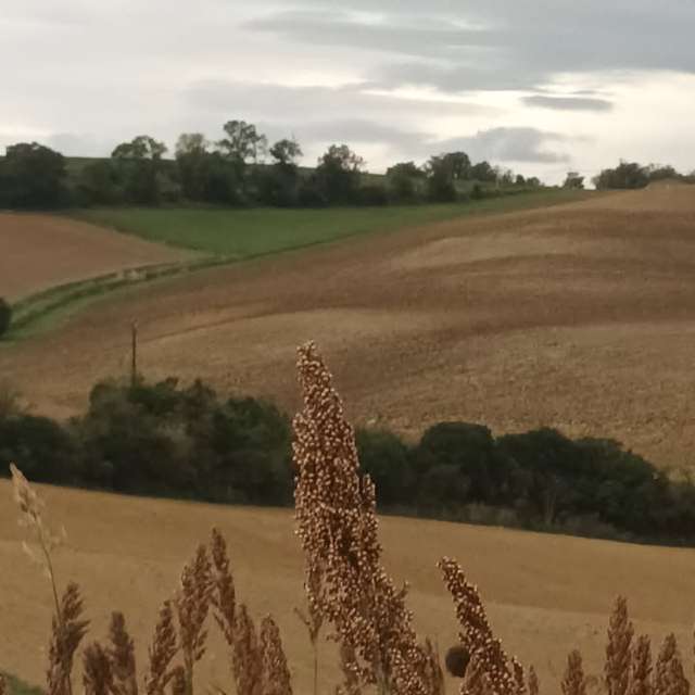 Morelenの美しい写真による天気予報