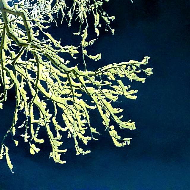 Animal. Weather forecasts with beautiful photos by Wiesiek Photos in Gdansk