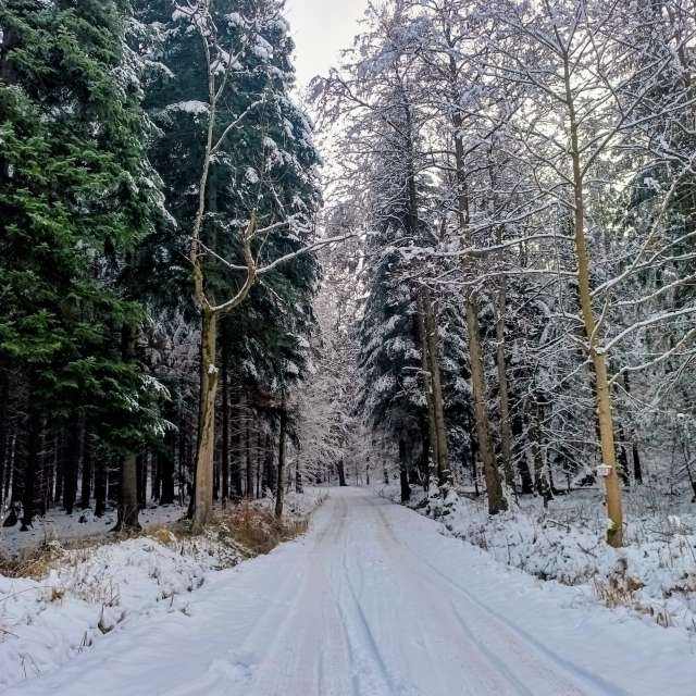 Wettervorhersagen mit schönen Fotos von Kripo