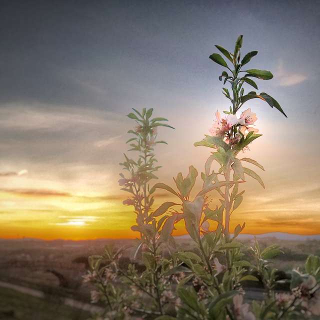 Weather forecasts with beautiful photos by ElCatorce
