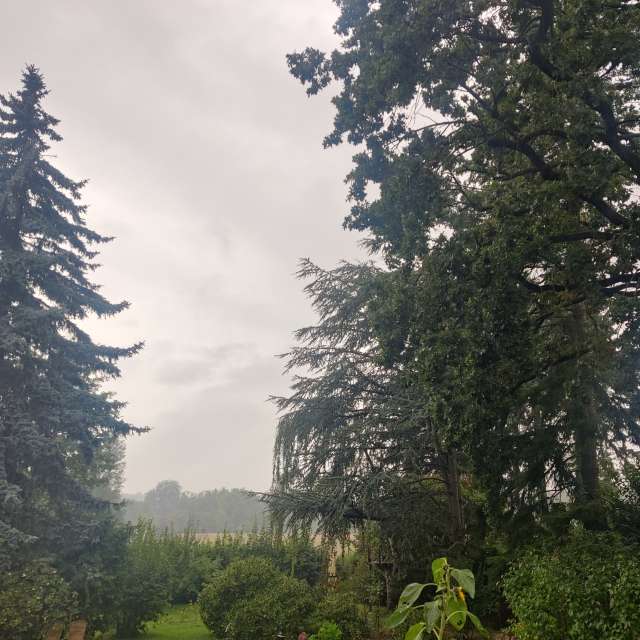 Fotos Relvado. Previsões do tempo com lindas fotos de Zorrra em Kladow