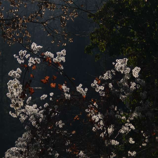 Fotos Abordado. Previsões do tempo com lindas fotos de Vasek325 em Praha 5