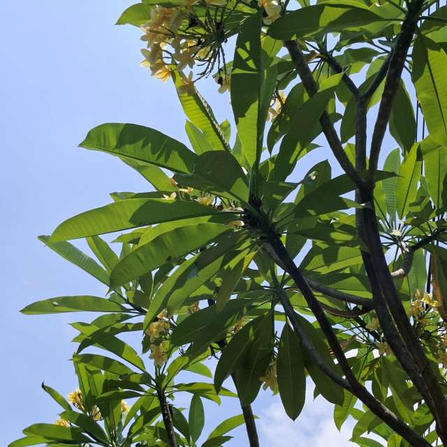 Photos Surfer. Prévisions météo avec de superbes photos de Wen-ya Huang de Kaohsiung