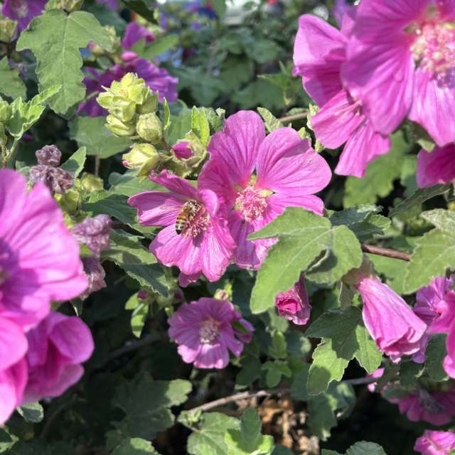 Weather forecasts with beautiful photos by grasielacf