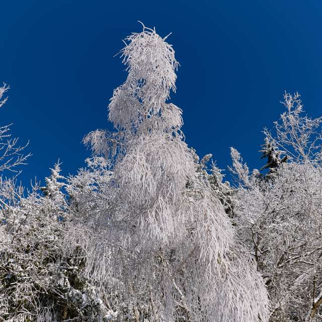 Прогнозы погоды с чудесными фотографиями, сделанными Aleh_Narushevich