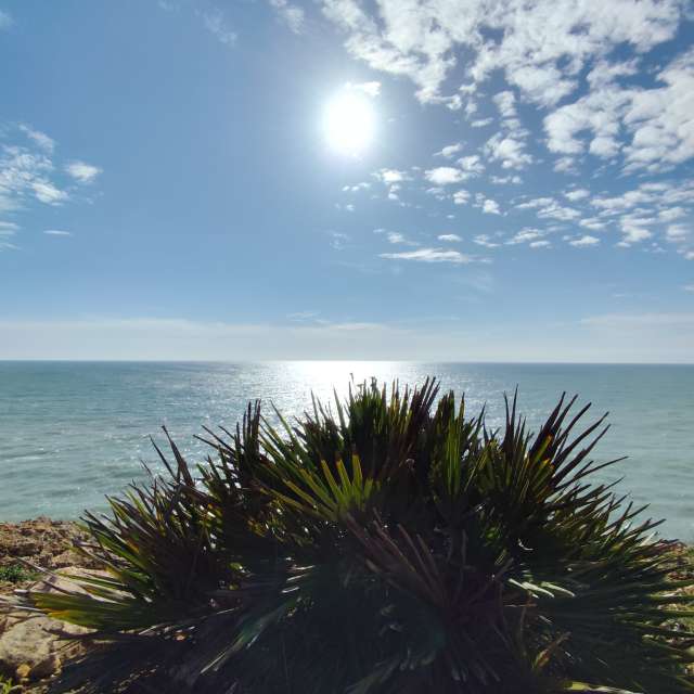 Прогнозы погоды с чудесными фотографиями, сделанными Brtd