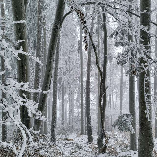 hejpetrpepaの美しい写真による天気予報