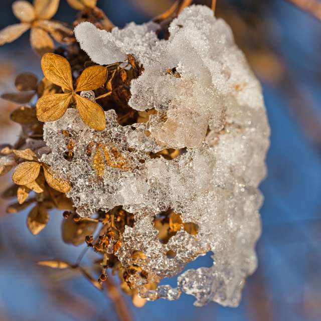 Weather forecasts with beautiful photos by martinm611