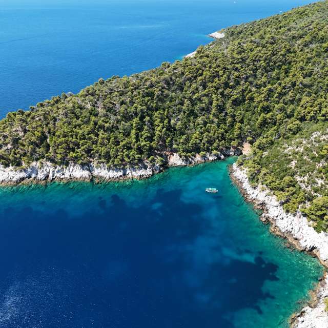 天气预报，带RositaY精美的照片