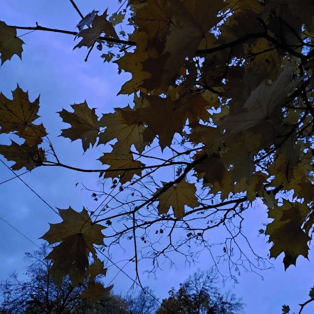 October. Weather forecasts with beautiful photos by Iryna Photos in Kharkiv